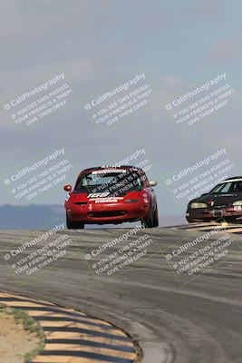 media/Oct-11-2025-Lucky Dog Racing (Sat) [[f5b53147c4]]/2-First Stint/2-Turns 9 and 10/